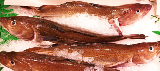Imagen de Bacalao fresco