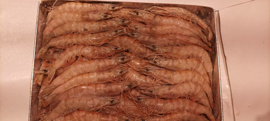 Imagen de Langostino crudo